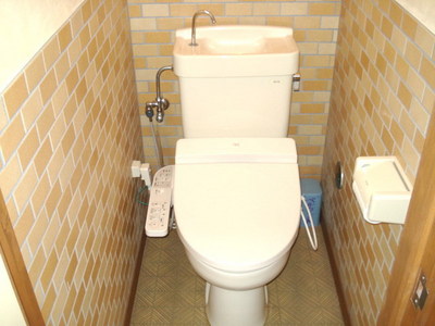 Toilet. ☆ Happy heating hot water toilet seat ☆