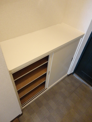 Entrance. Shoes BOX