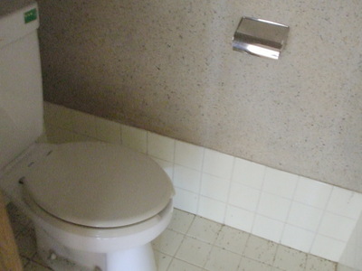 Toilet. Toilet