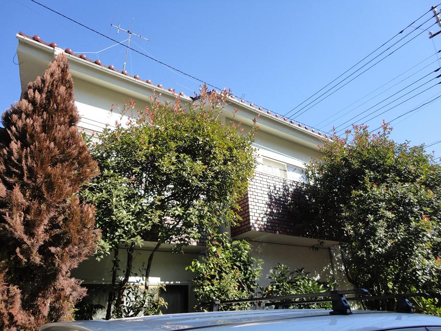 Building appearance