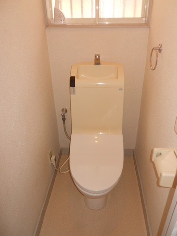 Toilet. Shower toilet!