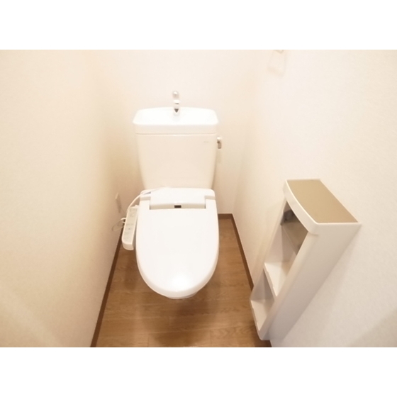 Toilet. Toilet with a shelf