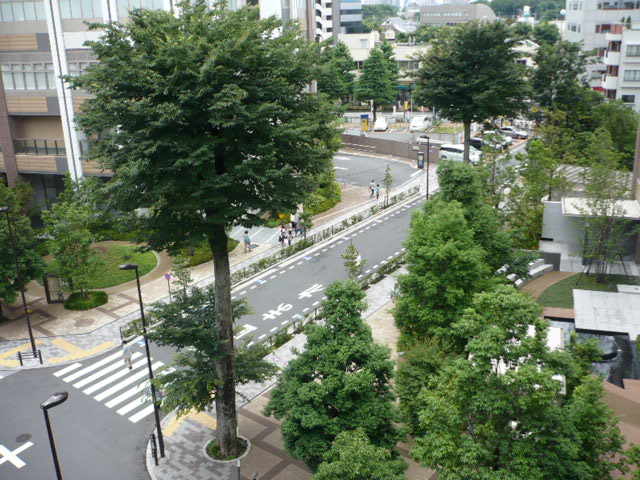 Other