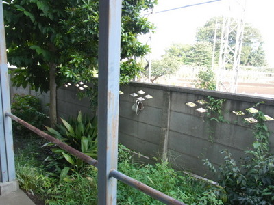View. View