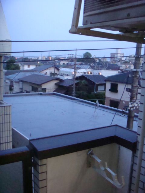 Other