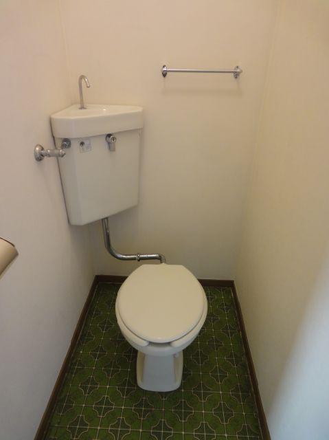 Toilet. Toilet