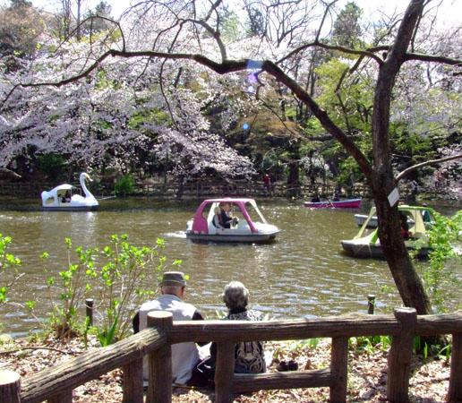 park. 550m to Inokashira Park boat landing