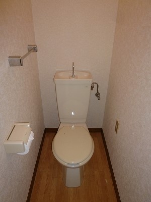 Toilet. You can use the toilet spacious! !