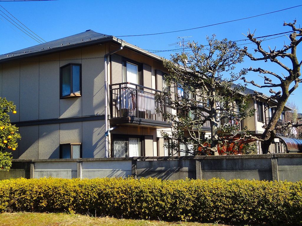 Building appearance