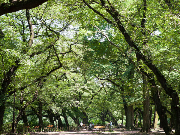 Surrounding environment. Inokashira Park (walk 21 minutes ・ About 1630m)