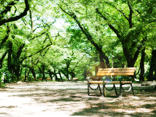 Surrounding environment. The land of Musashino wrapped in moisture and tranquility surrounded by dark green. Many people love this town, It has been nurtured carefully. Live while feeling the eternity of time that flows in this land. Is such a wonderful life, Start with great pleasure. (Inokashira Park)