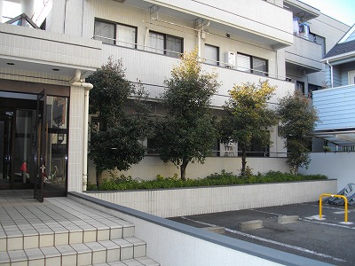Building appearance