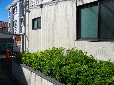 Other common areas