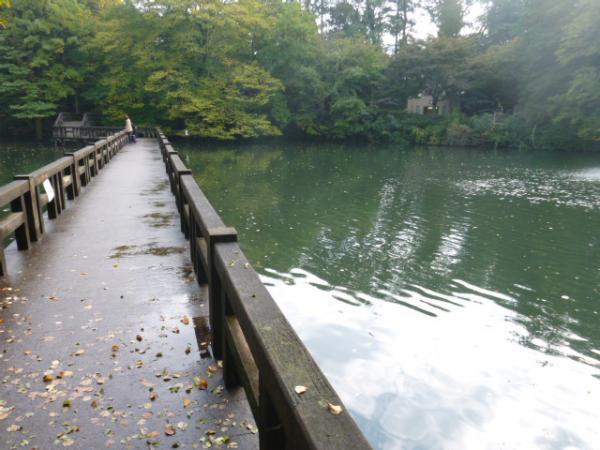park. To Inokashira Park 100m
