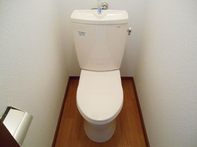 Toilet. Clean toilet ☆ 