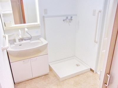Washroom. Shampoo dresser