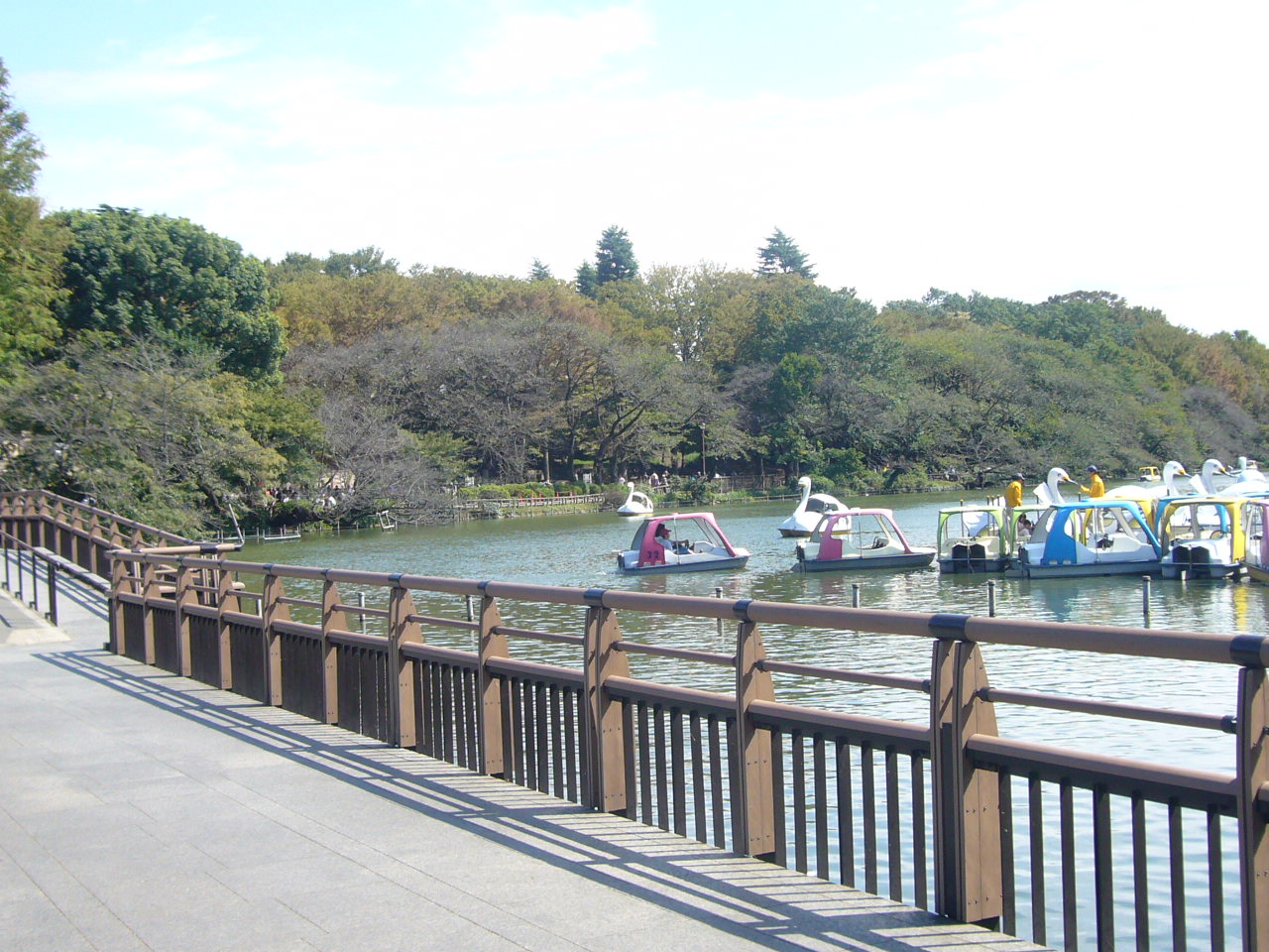 park. 1200m to Inokashira Park (park)