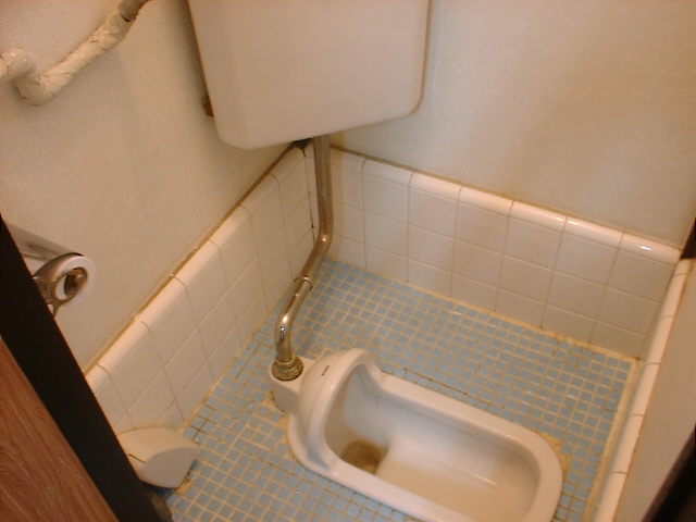 Toilet
