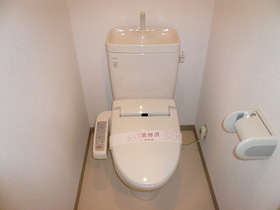 Toilet. Cleaning function toilet seat