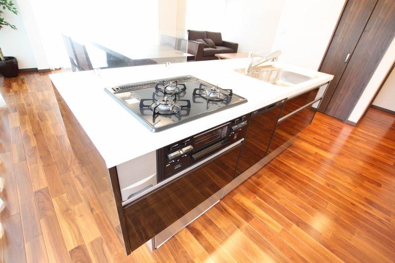 Kitchen. Dishwasher with a system Kitchen