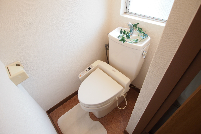 Toilet. Warm water washing toilet seat also equipped with luxury