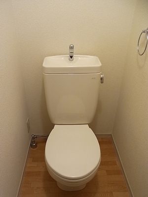 Toilet. Western-style toilet