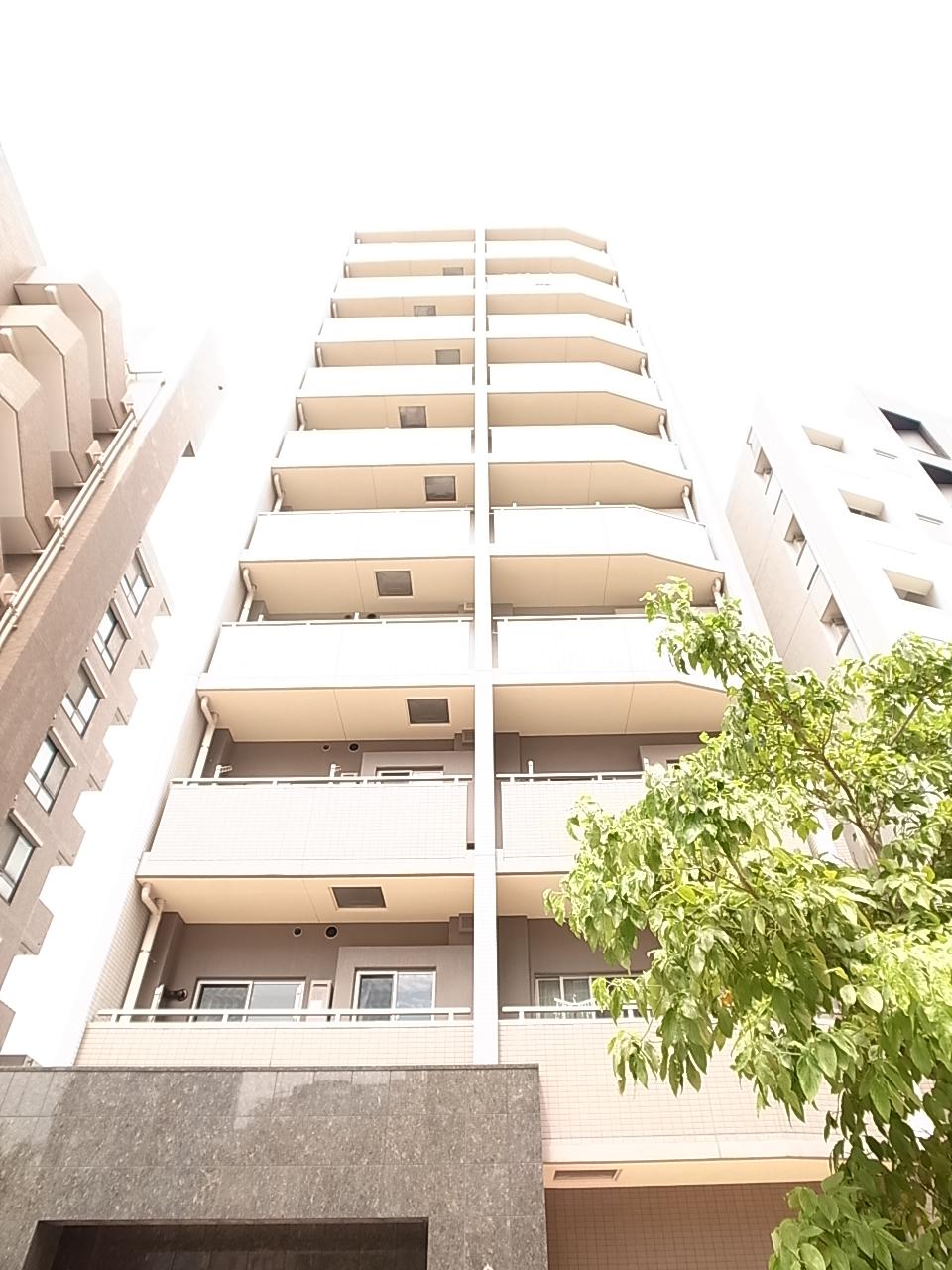 Local appearance photo. Local (July 2013) Shooting