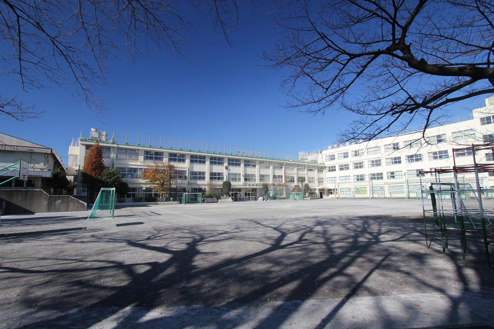 Other. Primary school