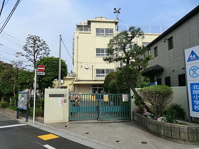 Primary school. Nakano Ward Kitahara to elementary school 446m
