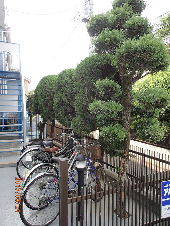 Other common areas. Bicycle-parking space