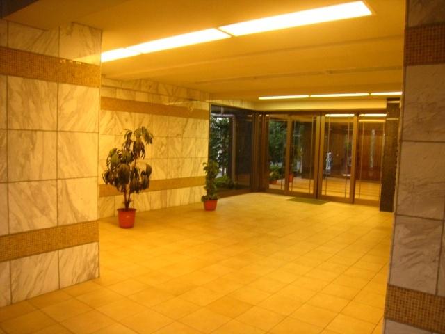 Entrance. Leksell Mansion Sasazuka