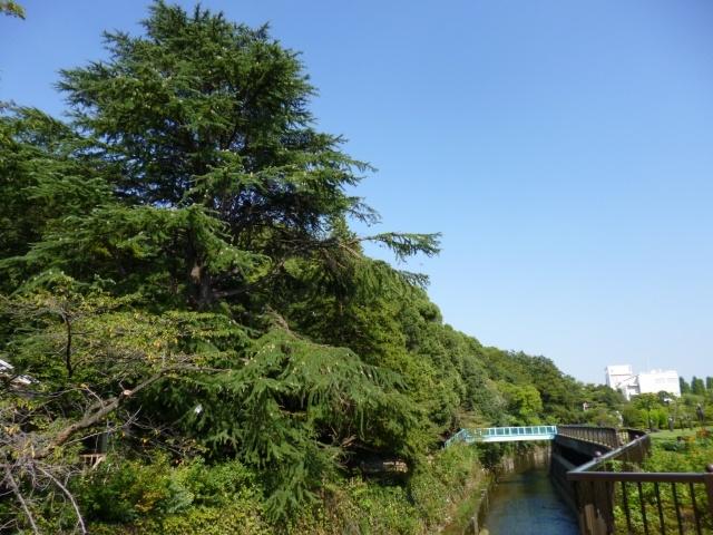 Other local. Tetsugakudo park