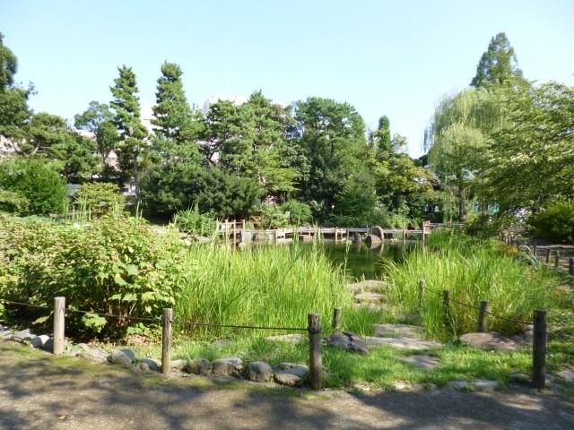 Other local. Tetsugakudo park