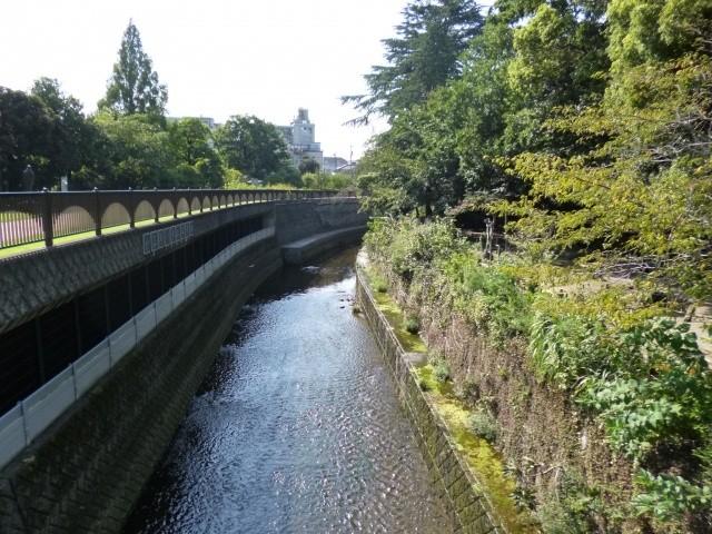Other local. Tetsugakudo park