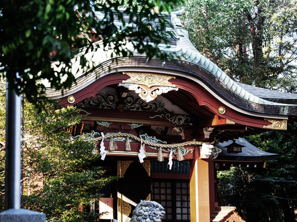 Surrounding environment. Hikawa Shrine (about 320m ・ 4-minute walk)