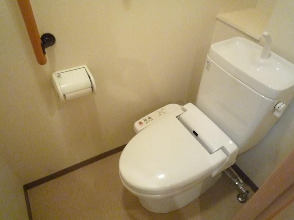 Living and room. Bidet