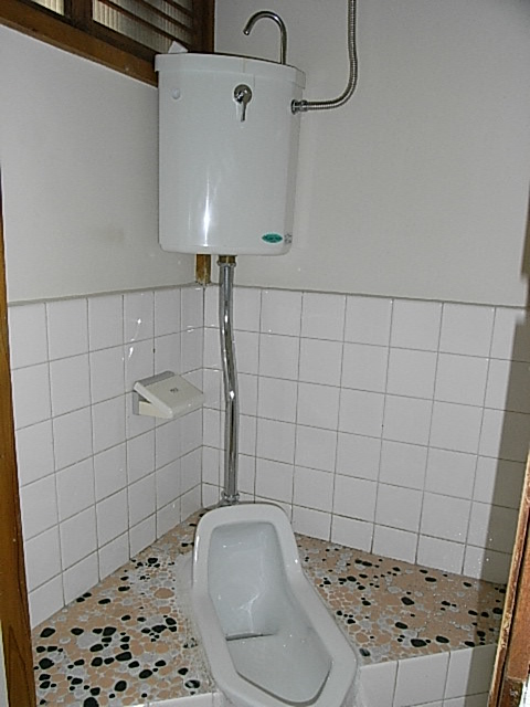 Toilet. Japanese style room