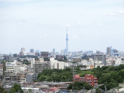 View. Sky tree overlooking view