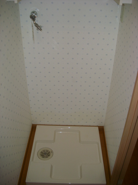 Other. Washing machine in the room