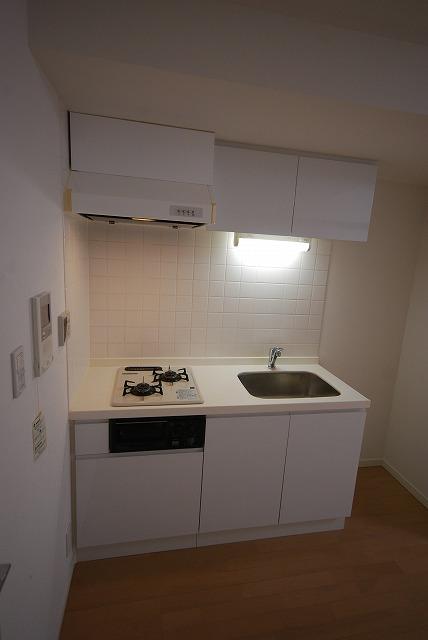 Kitchen. Indoor (12 May 2013) Shooting