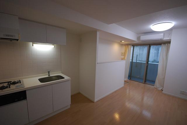 Living. Indoor (12 May 2013) Shooting