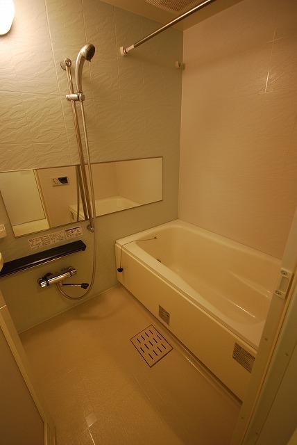 Bathroom. Indoor (12 May 2013) Shooting