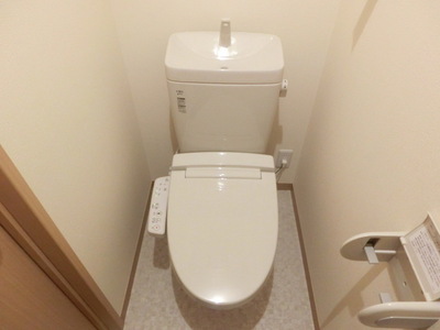 Toilet. Cleaning function toilet