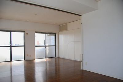 Living and room. Wall storage of large capacity