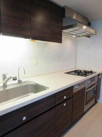 Kitchen. Indoor (10 May 2013) Shooting