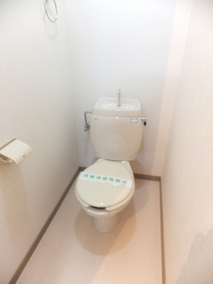 Toilet.  ※ Image will be the other issue chamber.