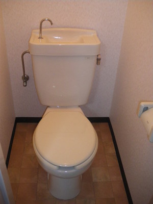 Toilet. Toilet