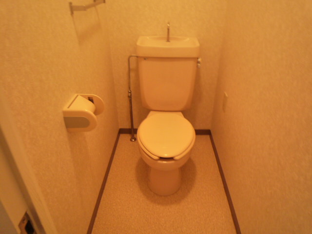 Other. Toilet