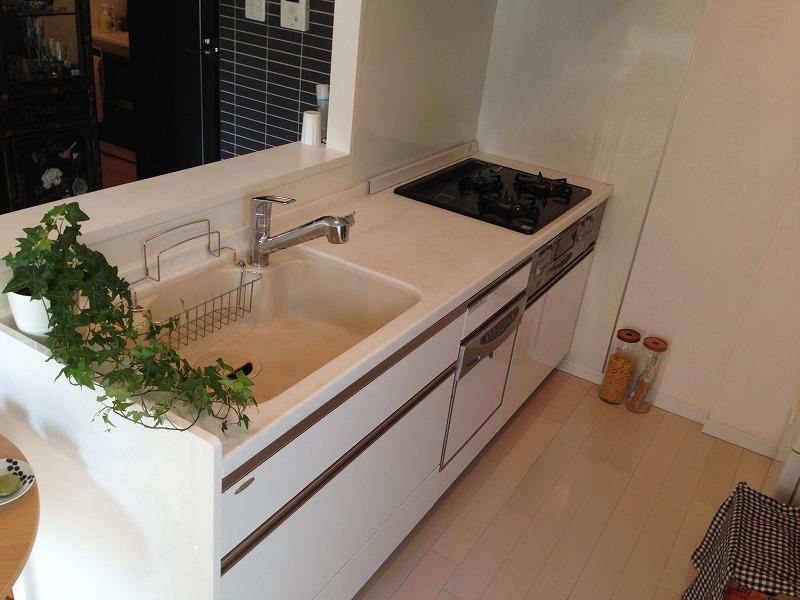 Kitchen. Indoor (12 May 2013) Shooting