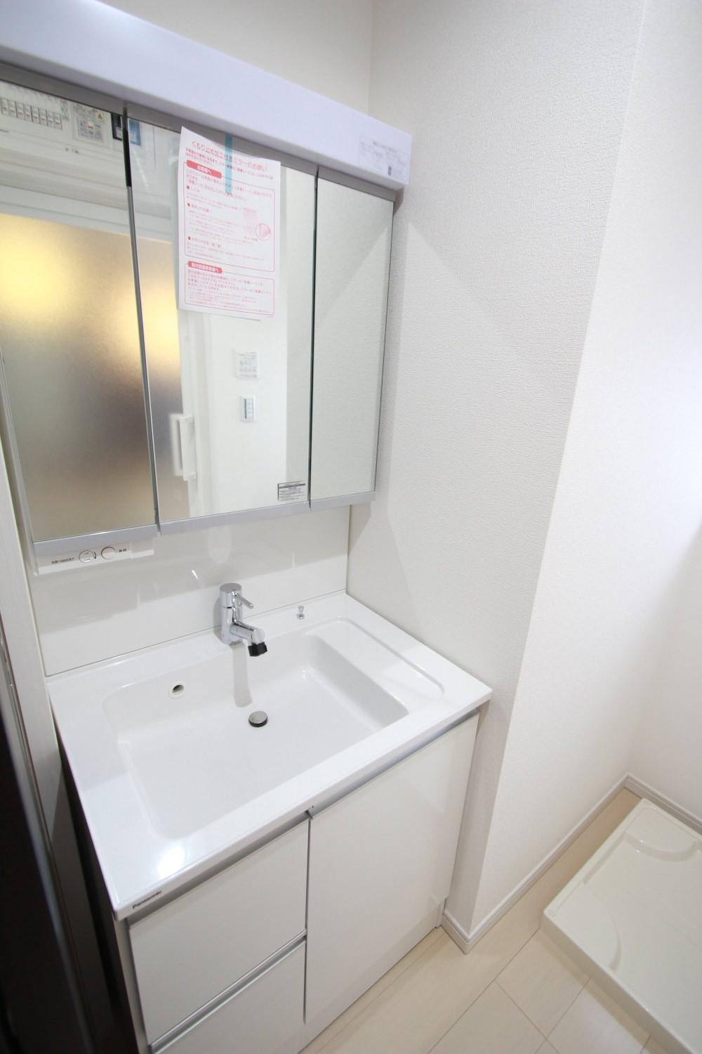 Wash basin, toilet. Housed plenty of vanity.